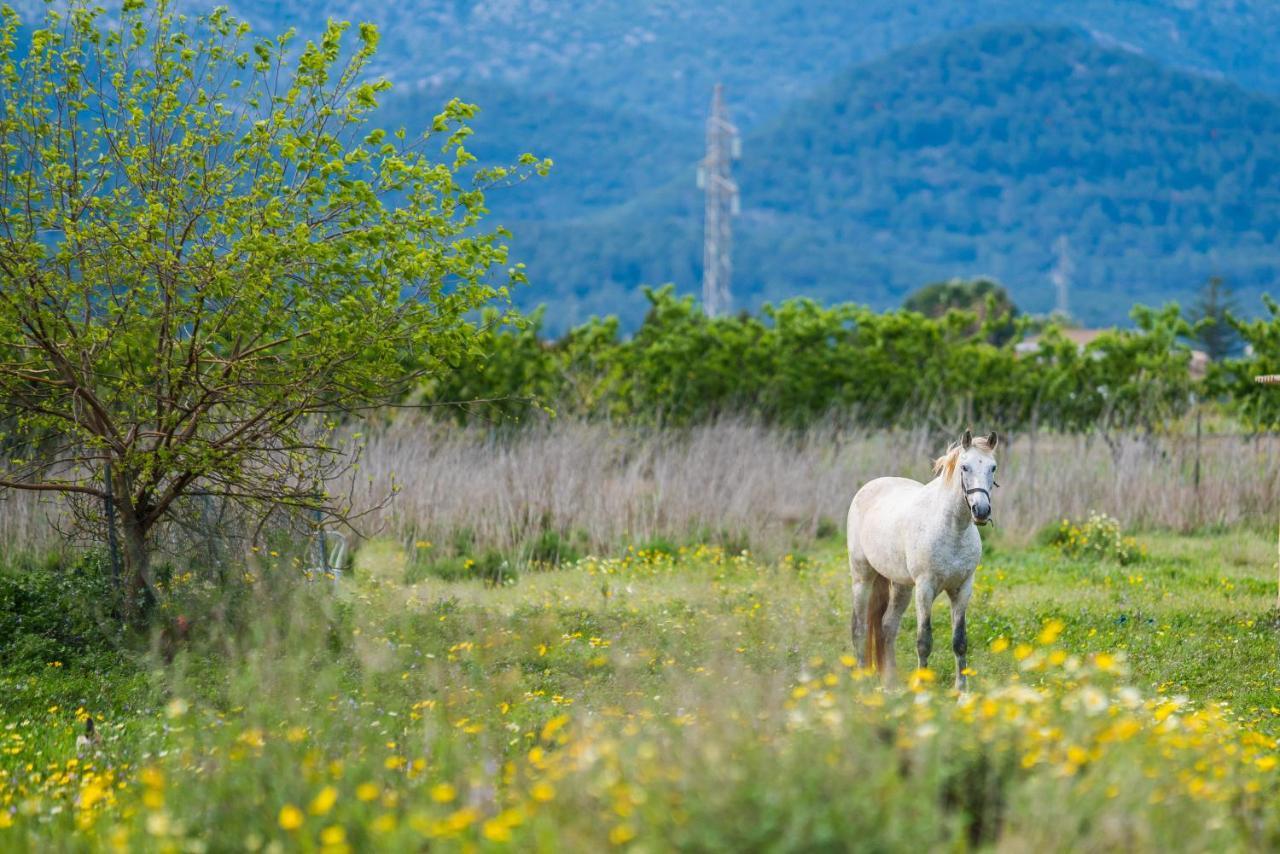 Traumhafte Finca Son Senyor - Mit Pferdekoppel Villa Sa Pobla Esterno foto