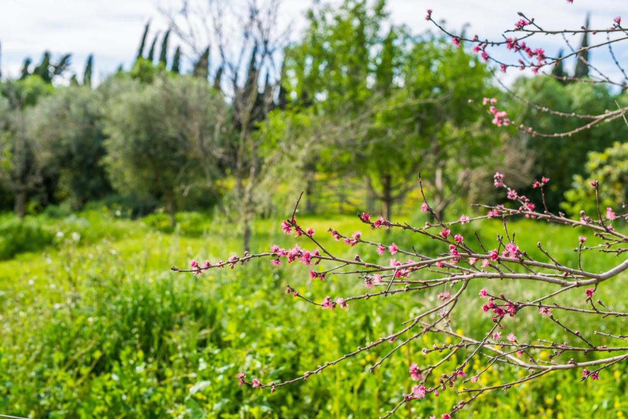 Traumhafte Finca Son Senyor - Mit Pferdekoppel Villa Sa Pobla Esterno foto