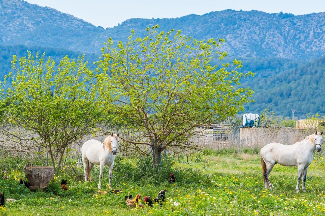 Traumhafte Finca Son Senyor - Mit Pferdekoppel Villa Sa Pobla Esterno foto